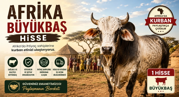 Afrika Buyukbas Hisse