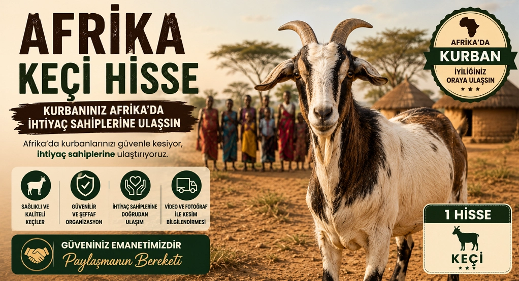 Afrika Kucukbas Hisse