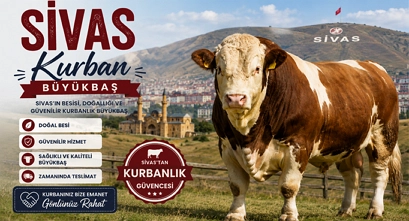 Sivas Kucuk Hisse